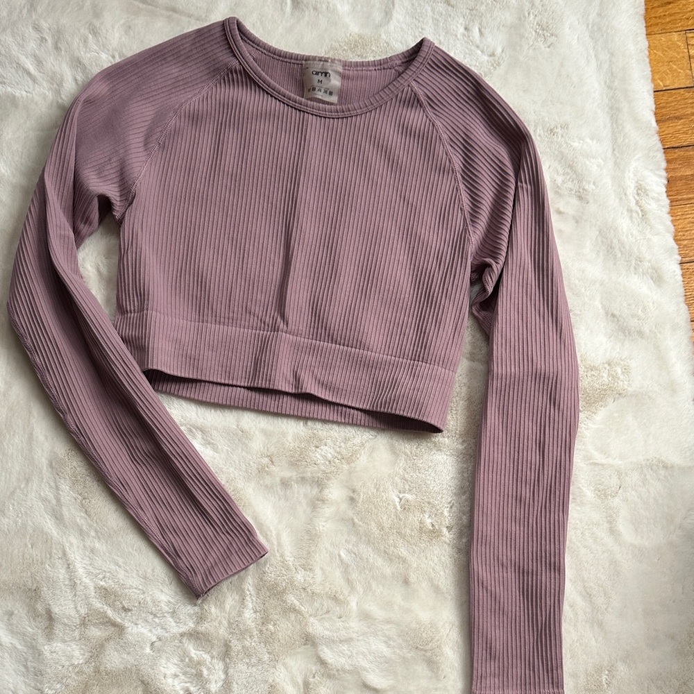 Aritzia Mauve Ribbed Crop Top